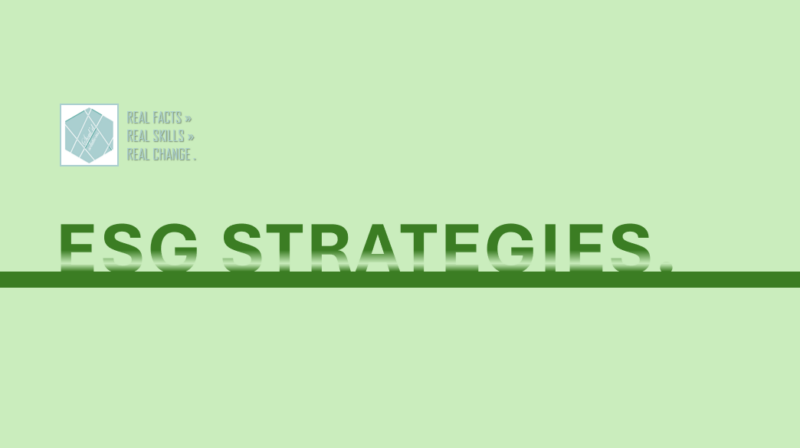 How to Create ESG Strategies (Environment, Social, Governance)