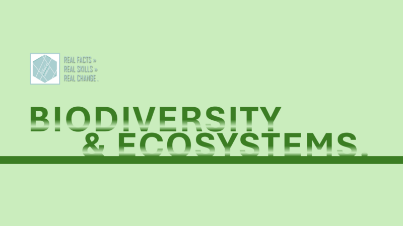 Biodiversity and Ecosystems